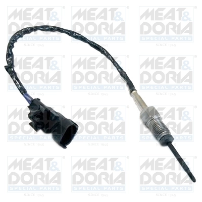 Sensor, exhaust gas temperature